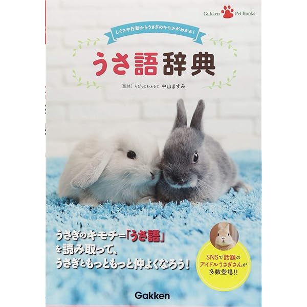 ウサギの気持ちが100%わかる本 ~もっと、なかよし編 | 町田 修 (うさぎ
